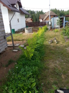 20170820_110957.jpg
