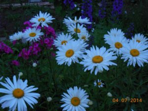 лето2014 038.jpg