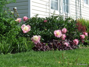 DSCF2318.JPG