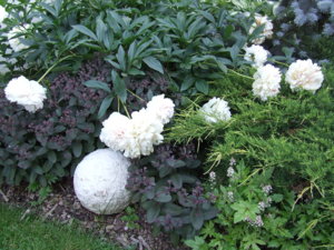 DSCF2483.JPG