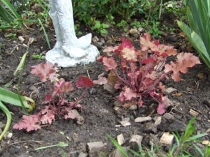 DSCF3933.JPG