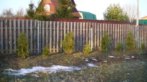 PIC_0127.JPG