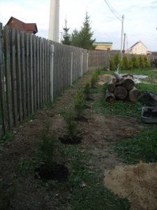 DSCF3277.JPG