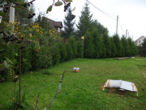DSCF5810.JPG