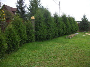 DSCF5812.JPG