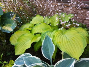20170616_105305.jpg