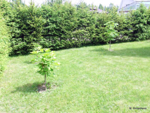 DSCF3792.JPG