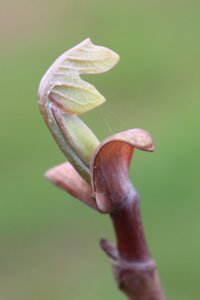 IMG_4364.JPG