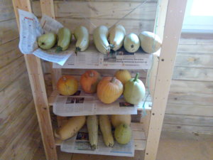 IMG_20160919_115138.jpg