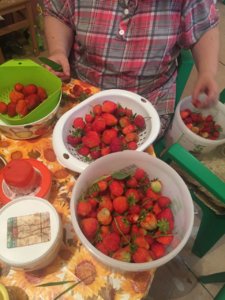 IMG-20170715-WA0001.jpg
