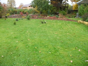DSCF6619.JPG