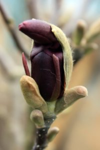 IMG_4393.JPG