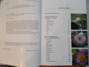 DSCN5263.JPG