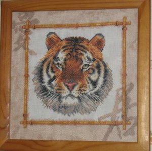 IMG_0228_cr (Small).jpg