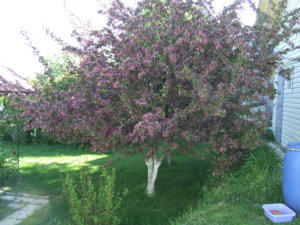 DSCF5109.JPG