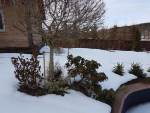 20180329_154419.jpg