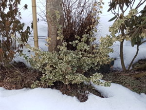 20180329_154502.jpg
