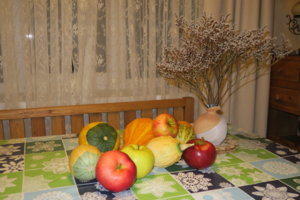 IMG_2982.JPG