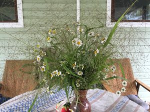 IMG_3090.JPG