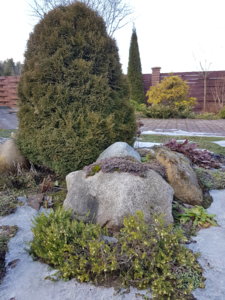 20180406_151153.jpg