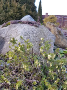 20180406_151227.jpg