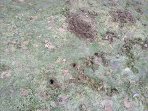 IMG_20180407_120718.jpg