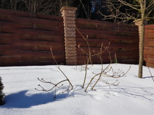 20180324_112914.jpg