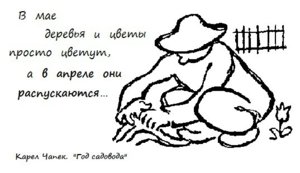 чапек.jpg