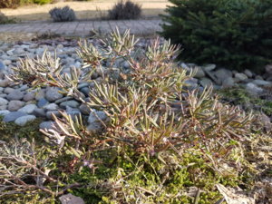 20180410_162744.jpg