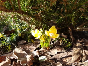 20180410_162457.jpg