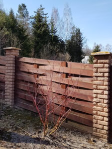 20180411_145831.jpg