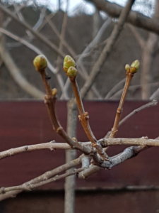 20180412_194550.jpg