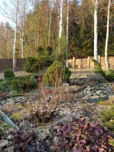 20180413_072639.jpg