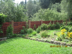 IMG_0414.jpg