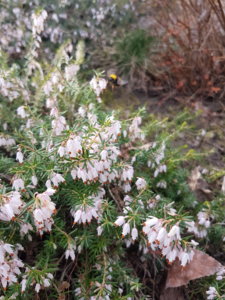 20180416_171708.jpg