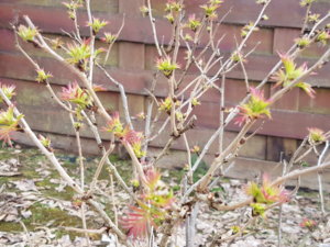 20180416_180443.jpg