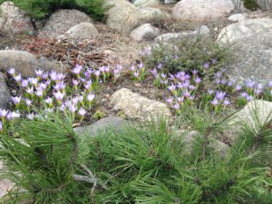 IMG_1264.JPG