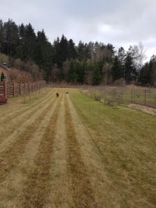 20180419_182023.jpg
