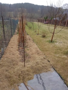 20180419_153348.jpg