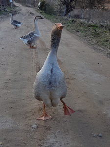 20180418_191751.jpg