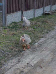 20180418_191407.jpg
