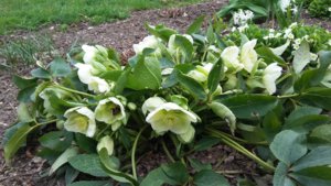 20170501_143800.jpg