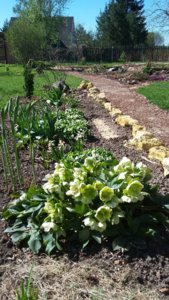 20170506_093534.jpg