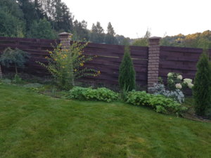 20170913_184205.jpg