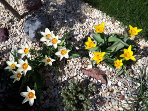 20180414_130249.jpg