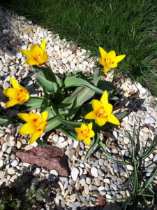20180414_130256.jpg