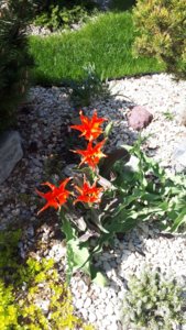 IMG-20180424-WA0001.jpg