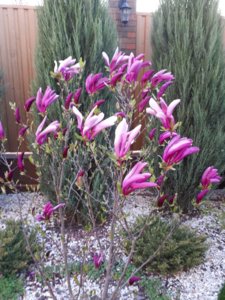 IMG-20180423-WA0041.jpg