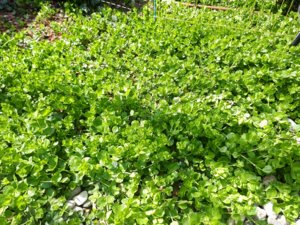20180425_115431.jpg