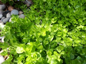 20180425_115439.jpg